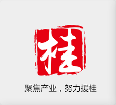 聚焦產(chǎn)業(yè)，努力援桂